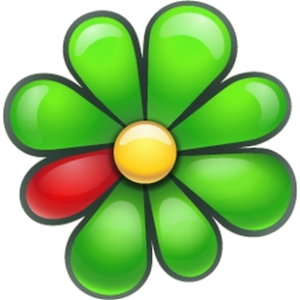 ICQ: 446679311