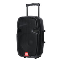 PR-12HR Акустическая система портативная - Leem 