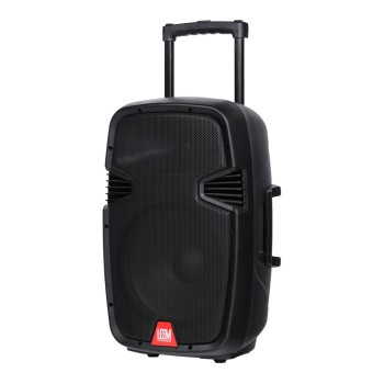 PR-12HR Акустическая система портативная - Leem 