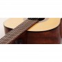AC100-SG  Классическая гитара  4/4 - Cort 