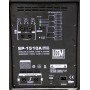 SP-1510A Активный акустический комплект - Leem 