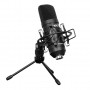 HH-5050 Микрофон конденсаторный, студийный - Cascha