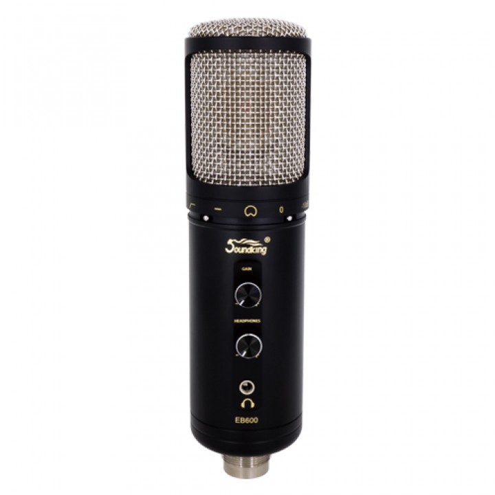 EB600 Микрофон студийный - Soundking