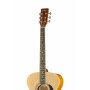 LF-4000 Фольковая гитара - Homage