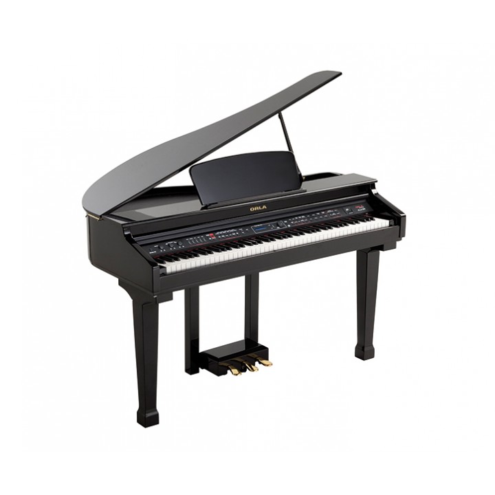 438PIA0634 Grand 120 Цифровой рояль, с автоаккомпанементом, черный - Orla